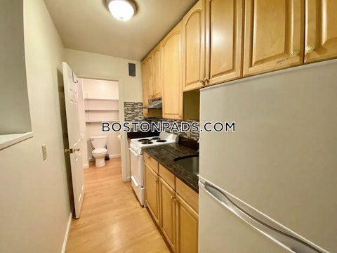 Shepherd Ave. Boston photo 5