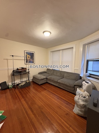 Massachusettes Ave. Cambridge