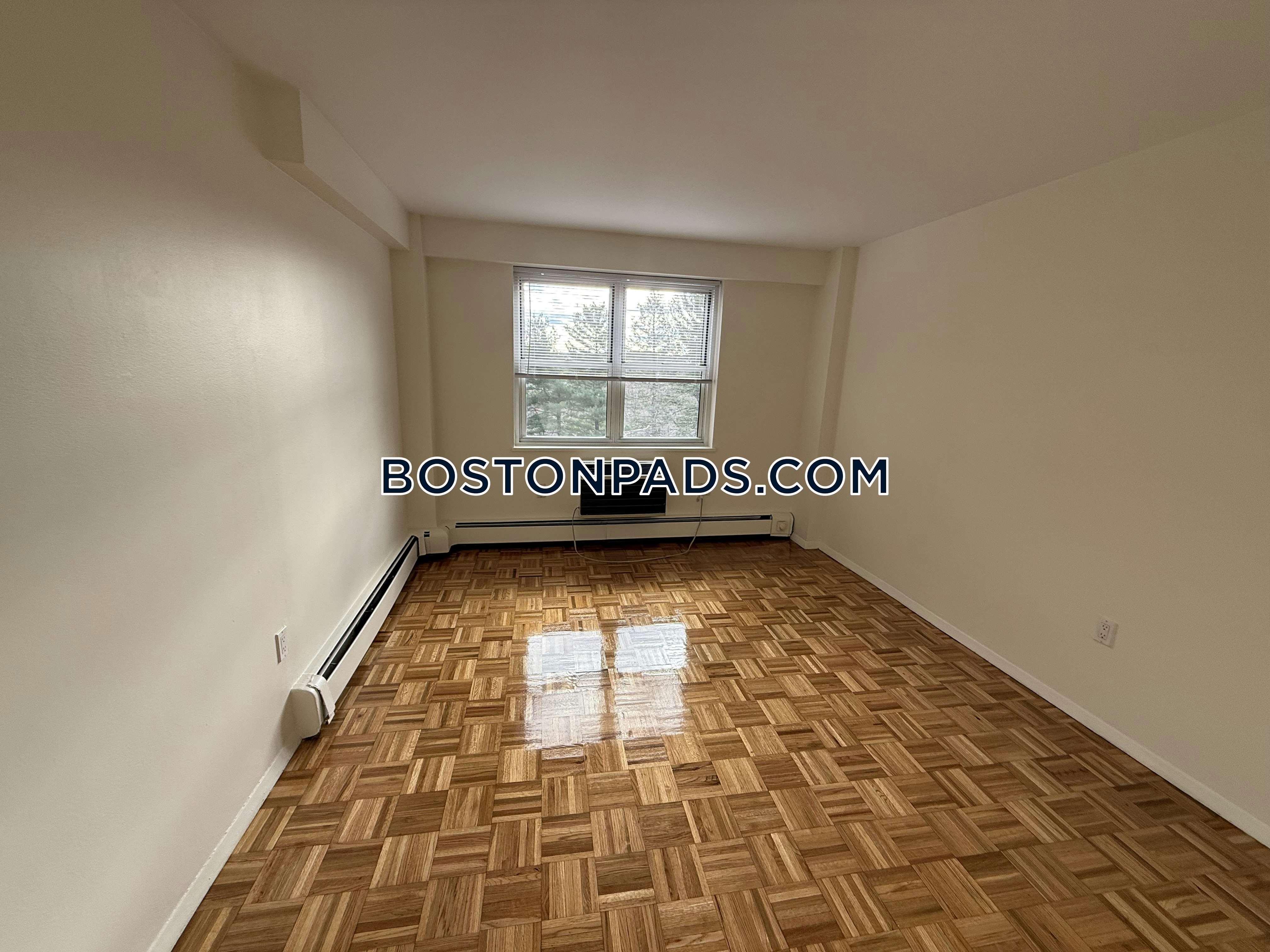 Freeman St. Brookline