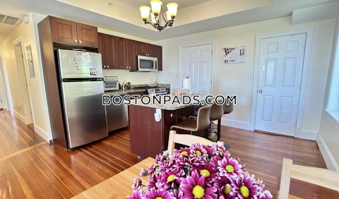 Fisher Ave. Roxbury Crossing photo 12