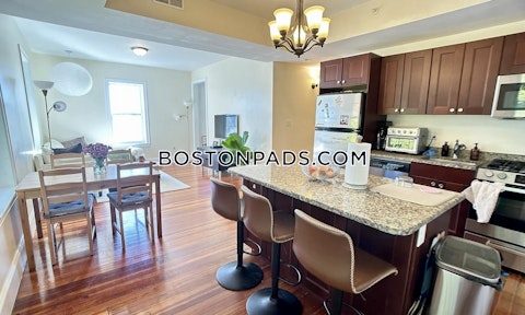 Fisher Ave. Roxbury Crossing photo 6