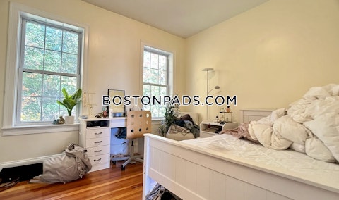 Fisher Ave. Roxbury Crossing photo 9