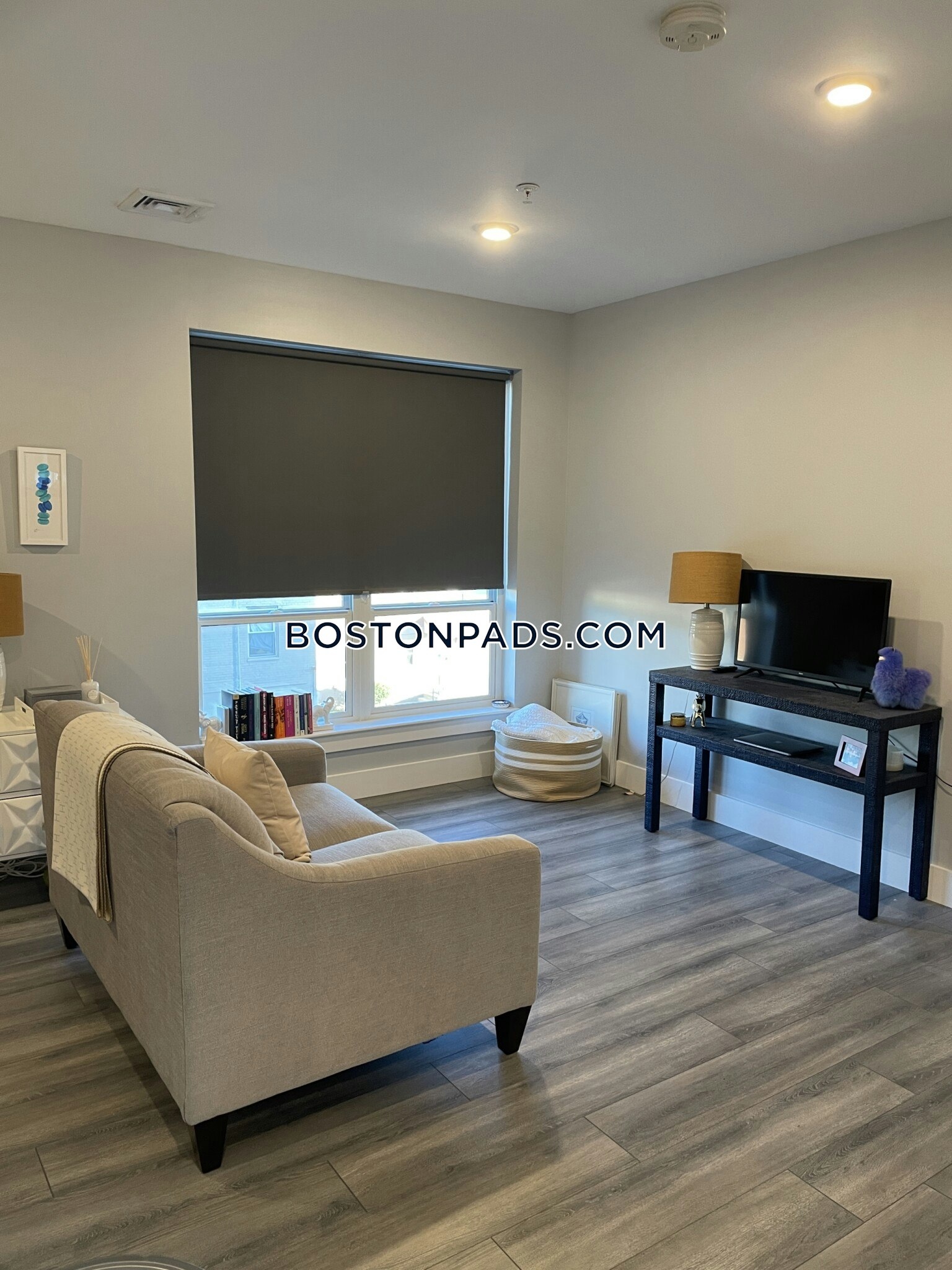 West Side - South Boston, Boston, MA - Studio, 1 Bath - $2,750 - ID#8012745
