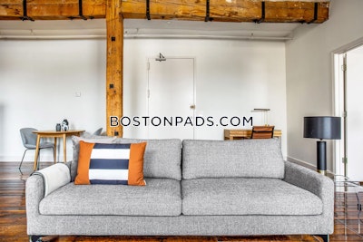 South End Studio 2 baths Luxury in BOSTON Boston - $3,600 No Fee