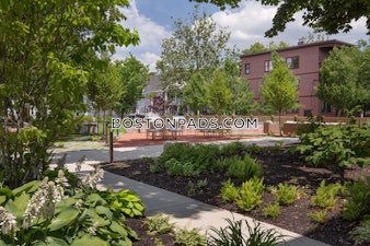 Rindge Ave. Cambridge