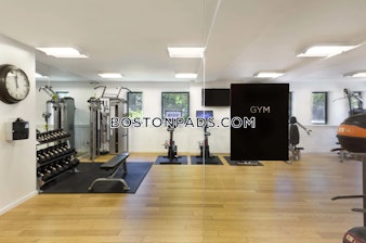 Rindge Ave. Cambridge