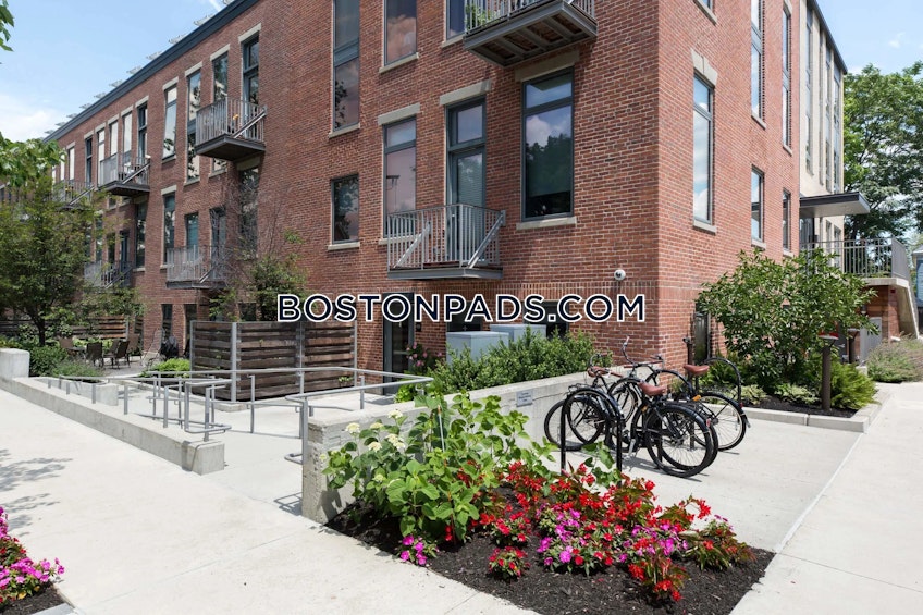 Cambridge - $3,200+ /month