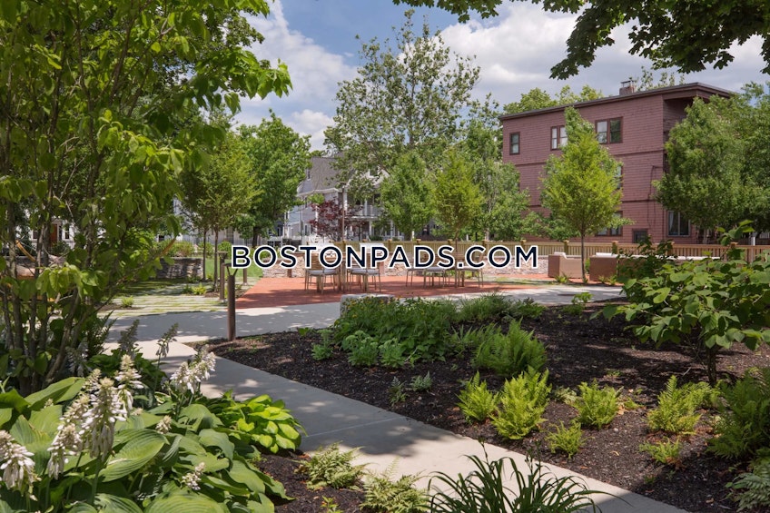 Cambridge - $3,200+ /month