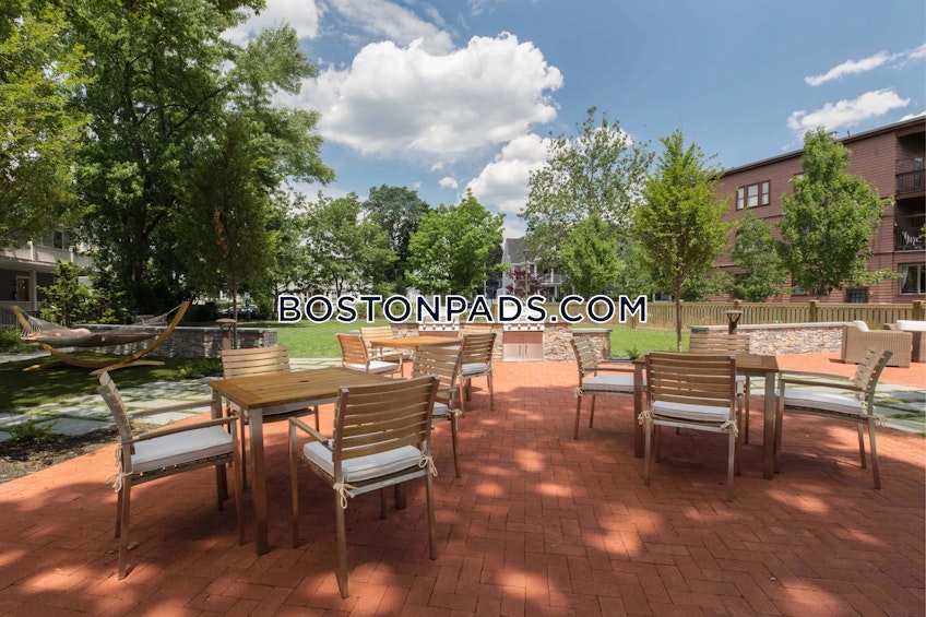 Cambridge - $3,200+ /month