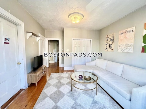 Delle Ave. Roxbury Crossing photo 6