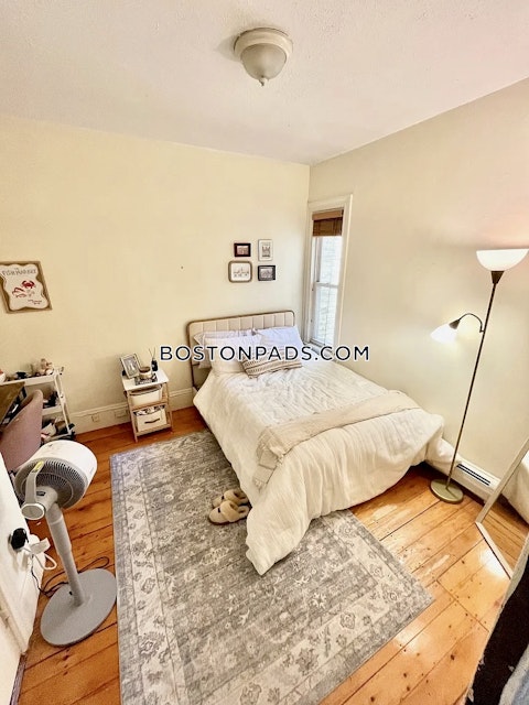 Delle Ave. Roxbury Crossing photo 5