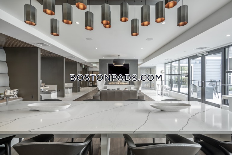 Revolution Dr. Somerville