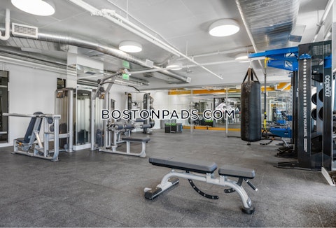 Revolution Dr. Somerville photo 7