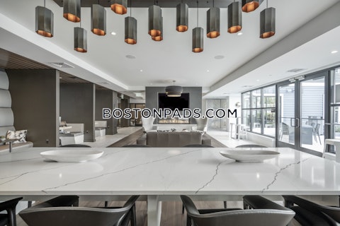 Revolution Dr. Somerville photo 19