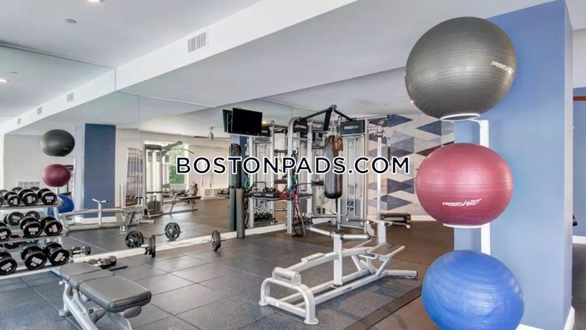 Belmont - $4,000+ /month