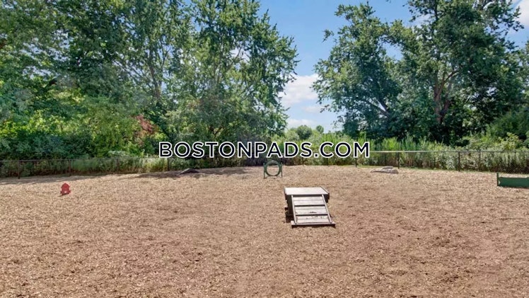 Acorn Park Dr., Belmont