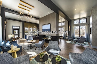 Framingham 2 bedroom 2 baths Luxury in FRAMINGHAM - $3,597 No Fee