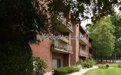 Rosemary St. Needham photo 20