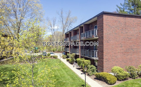 Rosemary St. Needham photo 26