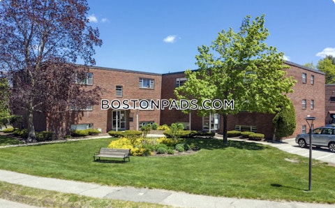 Rosemary St. Needham photo 26