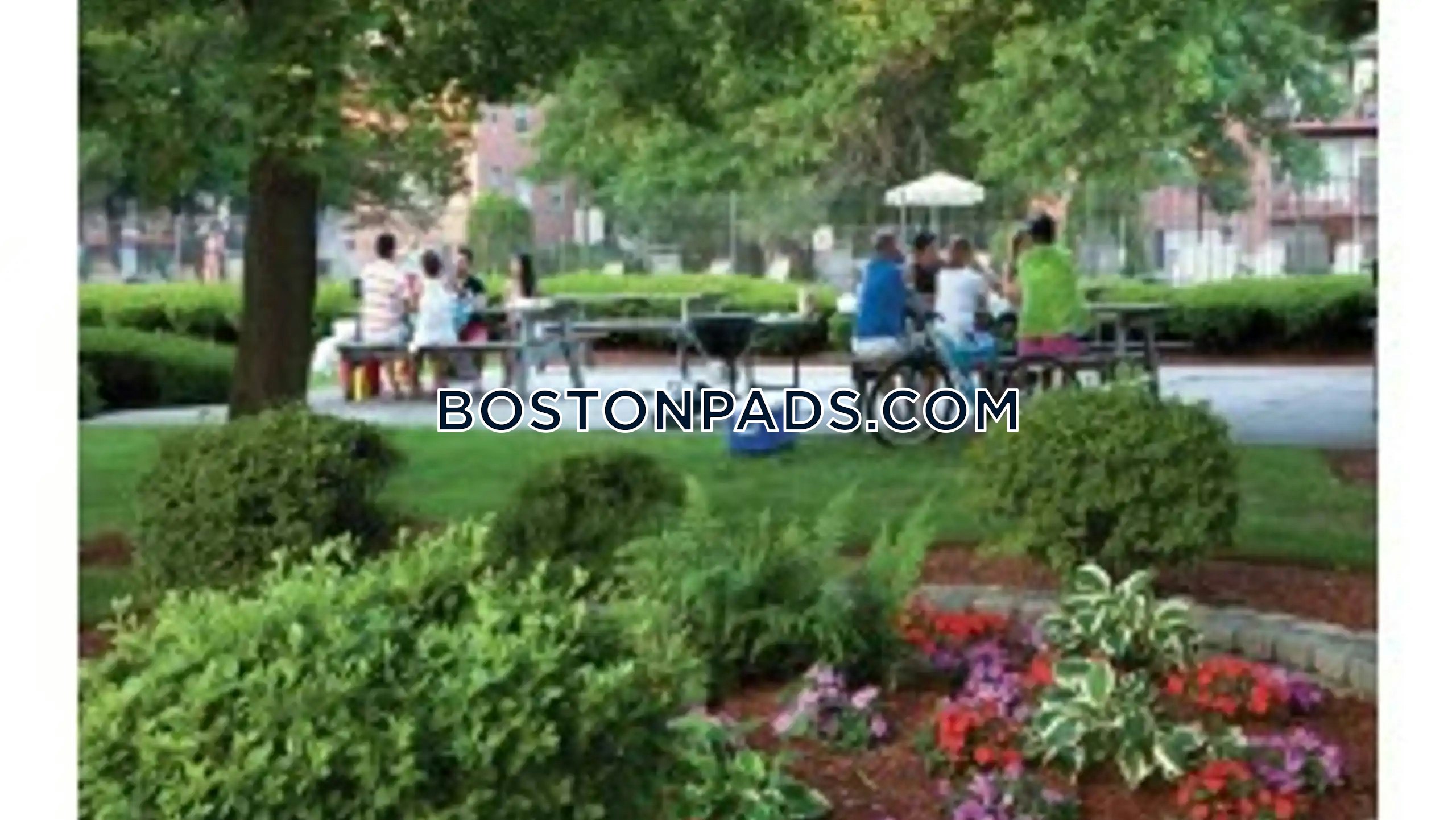 Georgetown Dr. Framingham