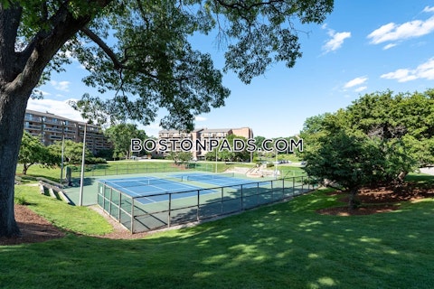 Southern Artery Quincy photo 11