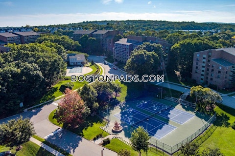 Southern Artery Quincy photo 20