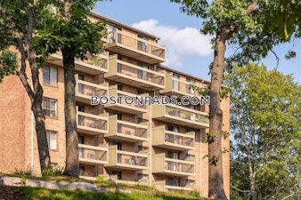 Southern Artery Quincy