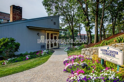 Southern Artery Quincy photo 37