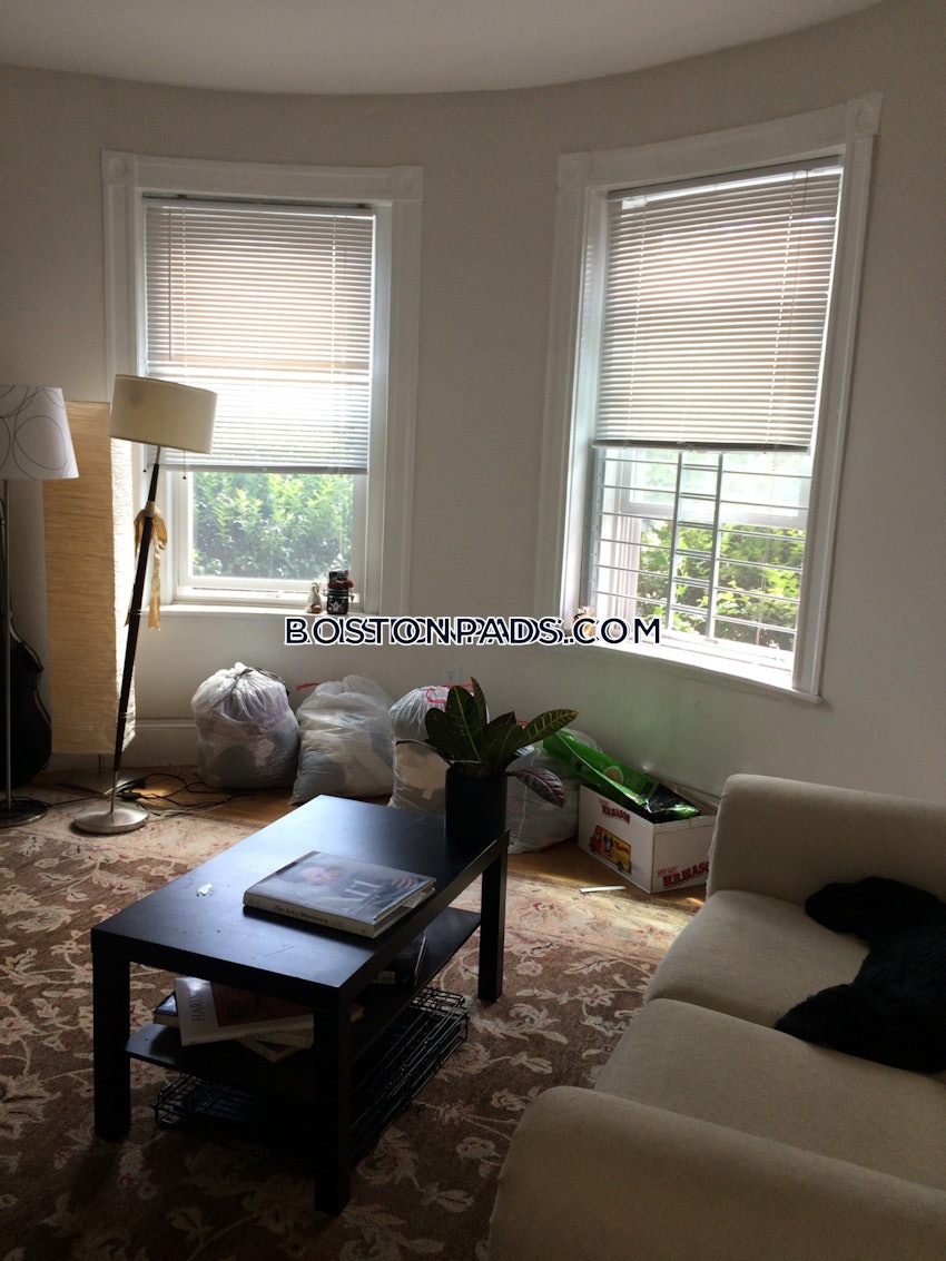 BOSTON - LOWER ALLSTON - 3 Beds, 1 Bath - Image 2