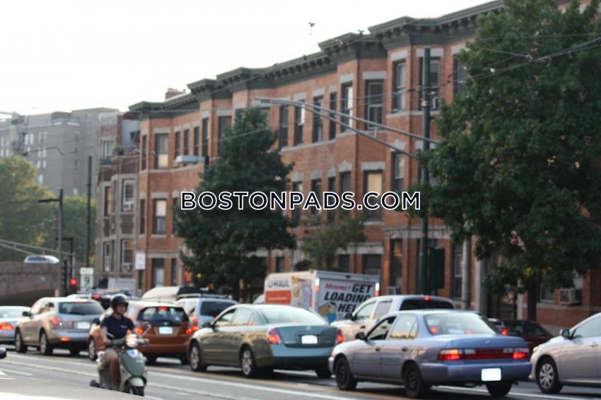 BOSTON - MISSION HILL - 4 Beds, 2 Baths - Image 15