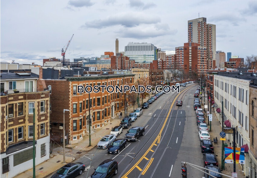 BOSTON - MISSION HILL - 4 Beds, 2 Baths - Image 12