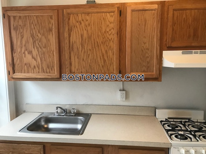 BOSTON - BRIGHTON - CLEVELAND CIRCLE - 1 Bed, 1 Bath - Image 4