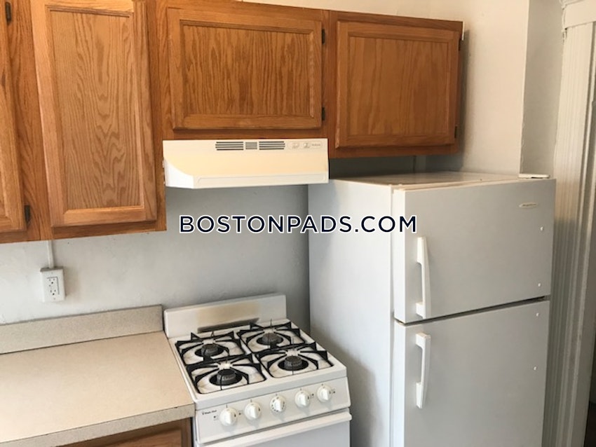 BOSTON - BRIGHTON - CLEVELAND CIRCLE - 1 Bed, 1 Bath - Image 3