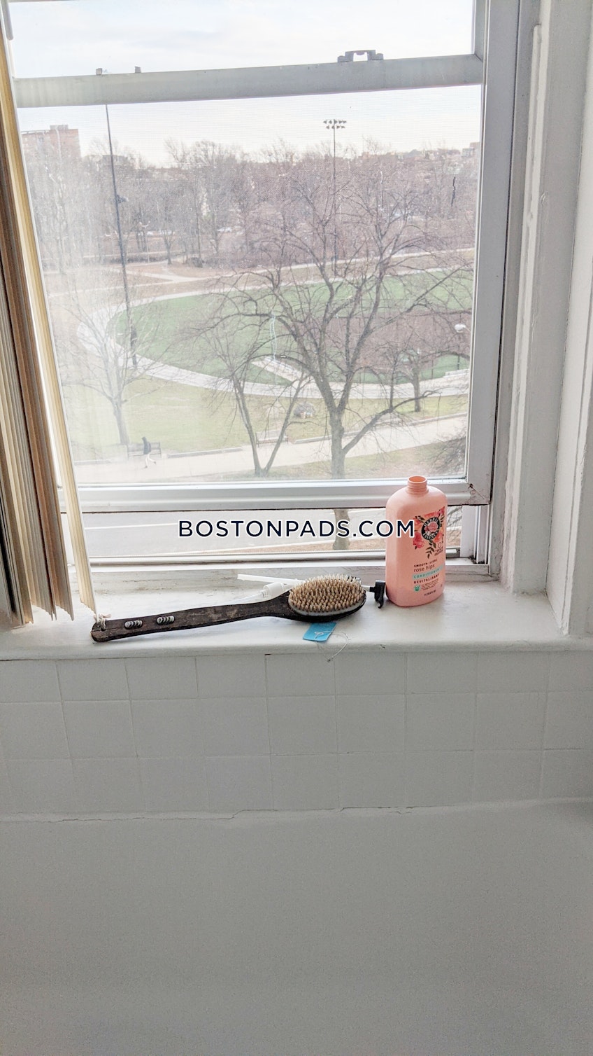 Boston - $2,350+ /month