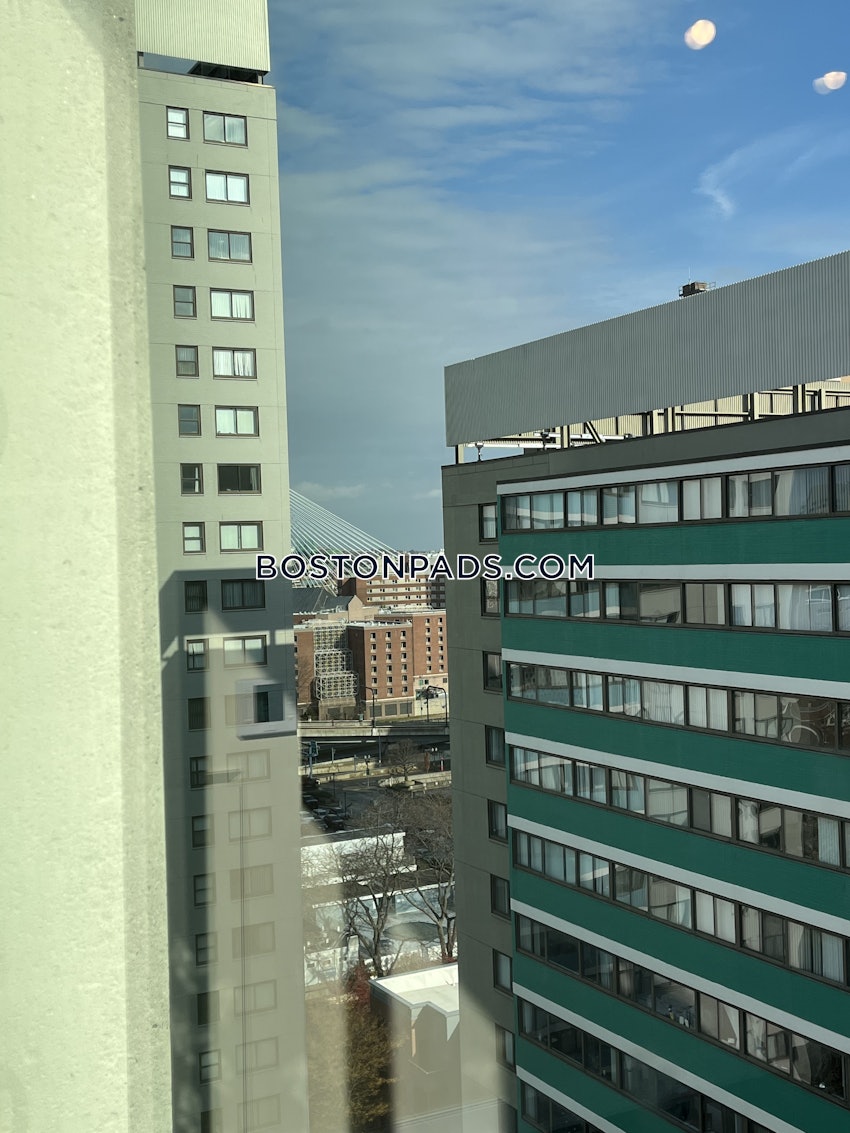 BOSTON - WEST END - 1 Bed, 1 Bath - Image 11