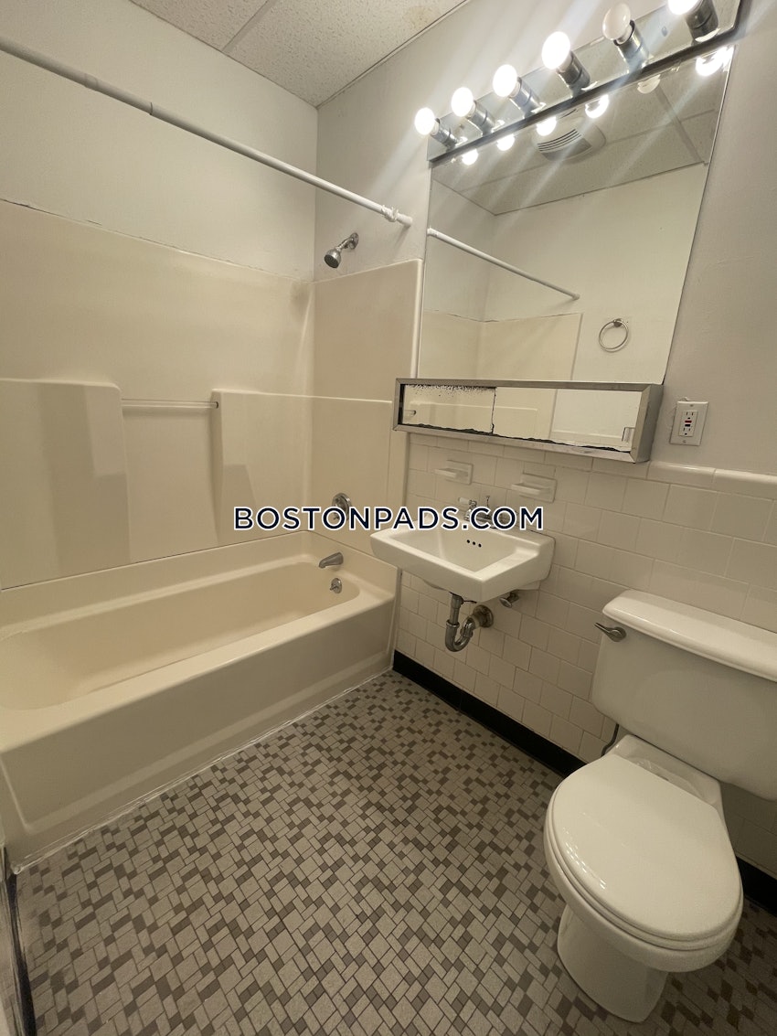 BOSTON - JAMAICA PLAIN - JAMAICA POND/PONDSIDE - 1 Bed, 1 Bath - Image 16