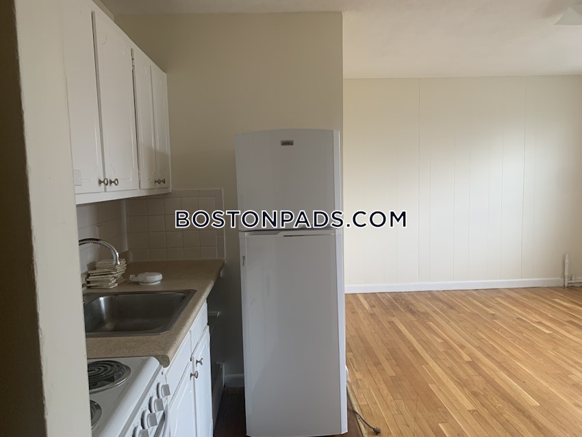 BOSTON - BRIGHTON - BRIGHTON CENTER - 1 Bed, 1 Bath - Image 9