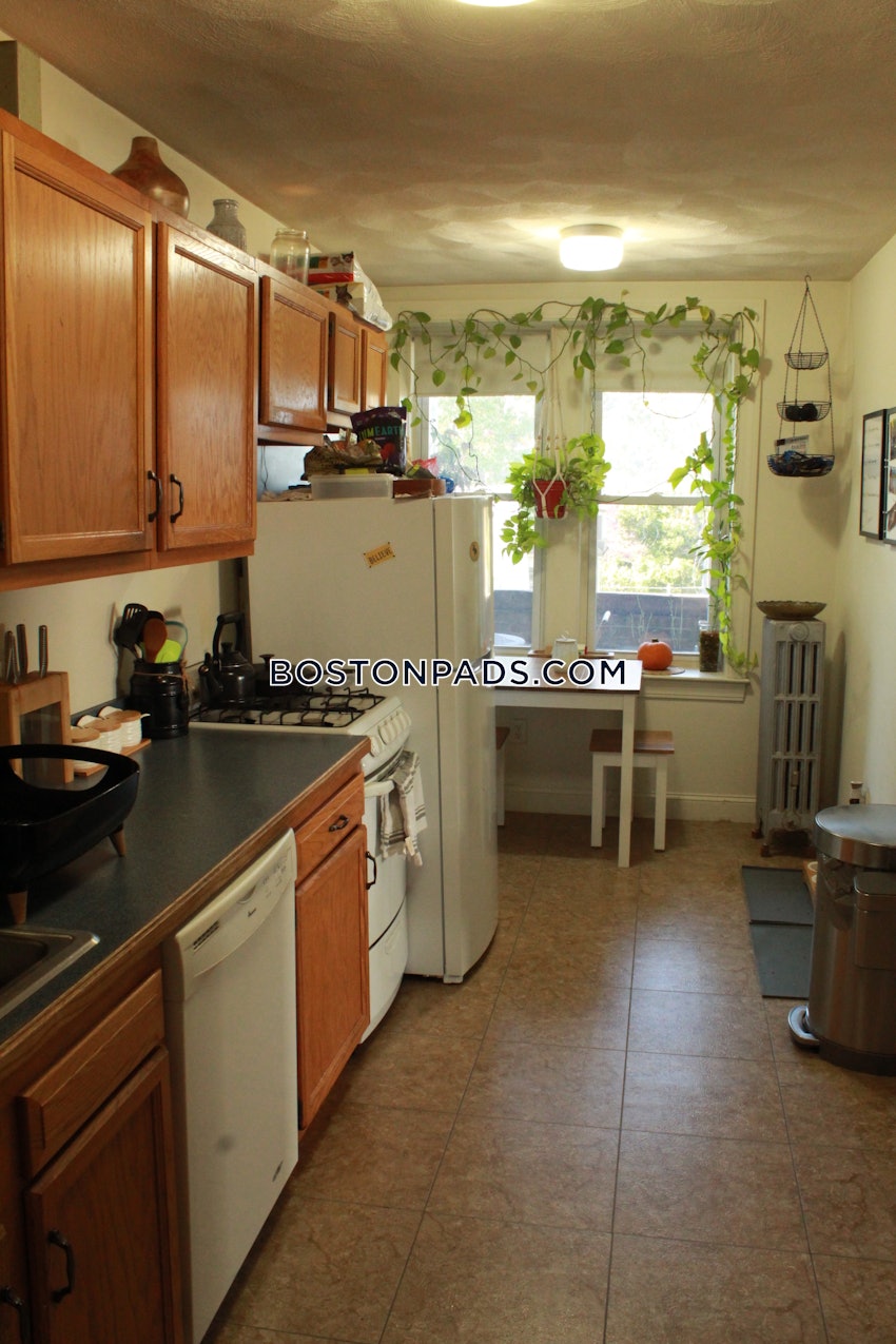 BOSTON - BRIGHTON- WASHINGTON ST./ ALLSTON ST. - 2 Beds, 1 Bath - Image 3