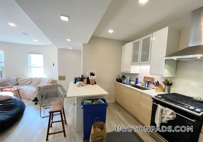 Mission Hill Apartment for rent 5 Bedrooms 3 Baths Boston - $8,750