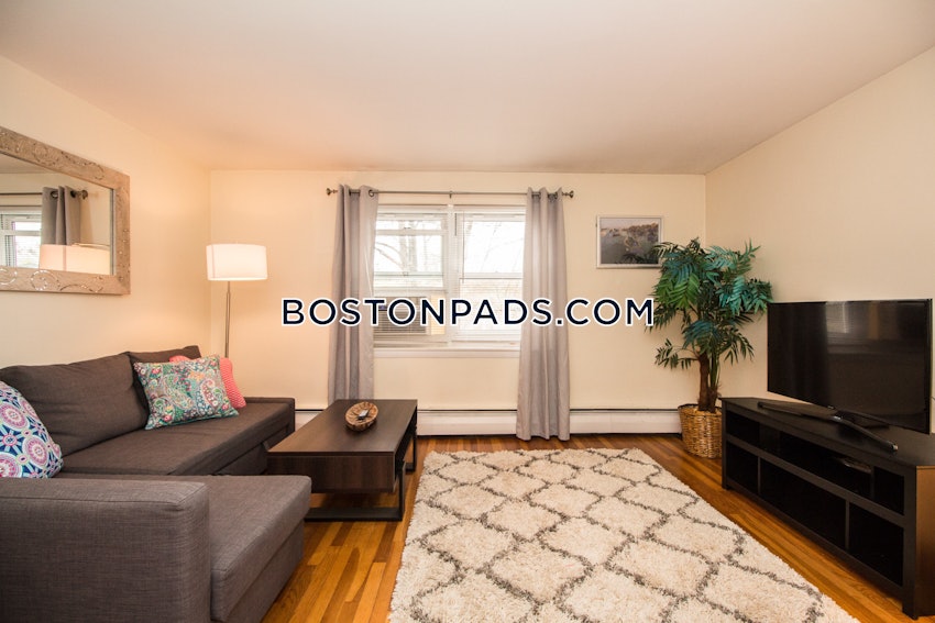 BROOKLINE - CHESTNUT HILL - 1 Bed, 1 Bath - Image 1