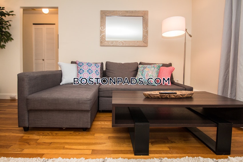 BROOKLINE - CHESTNUT HILL - 1 Bed, 1 Bath - Image 10