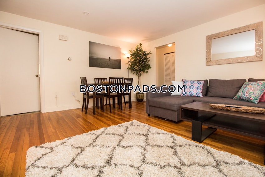 BROOKLINE - CHESTNUT HILL - 1 Bed, 1 Bath - Image 5