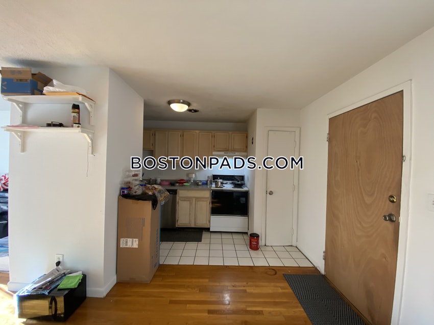 BOSTON - JAMAICA PLAIN - JAMAICA POND/PONDSIDE - 1 Bed, 1 Bath - Image 9