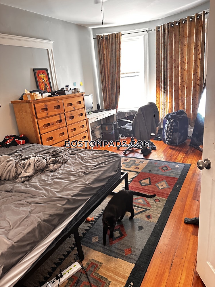 Netherlands Rd., Brookline