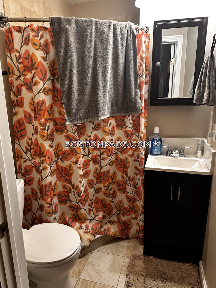 Netherlands Rd., Brookline