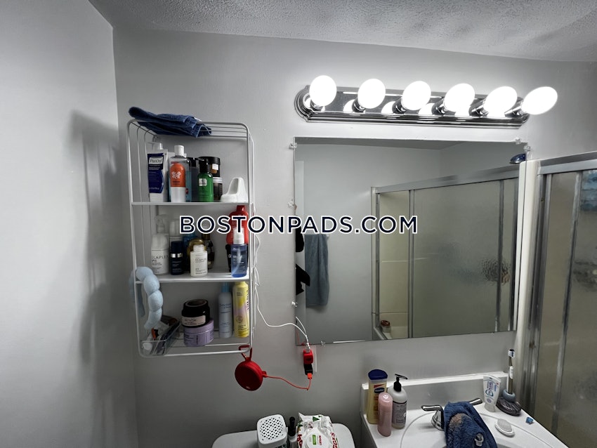 BOSTON - NORTHEASTERN/SYMPHONY - 1 Bed, 1 Bath - Image 5