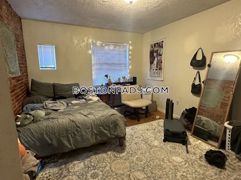 Hammond St. Roxbury Crossing photo 22