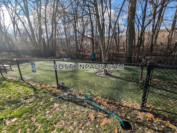 Island Hill Ave., Melrose