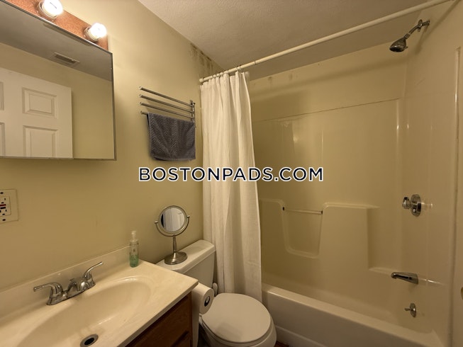 Boston - $3,300+ /mo